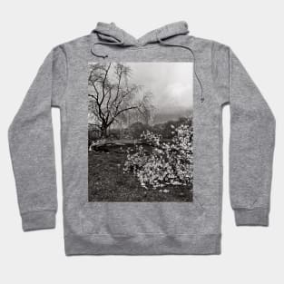 Broken Poetry Hoodie